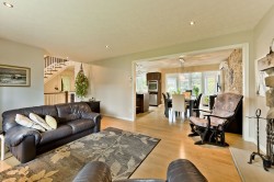 Salon - 