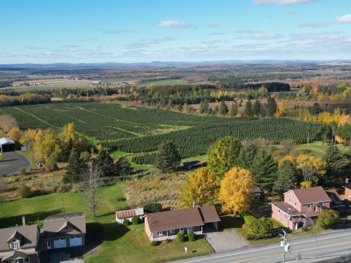 Photo aérienne - 458 Rue Principale (St-Évarist), Courcelles/Saint-Évariste, QC 