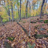 255 WESTPOINT SANDS ROAD Huntsville, ON P1H 2J3