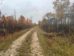 98044 2nd RD  Teulon, MB R0C 3B0