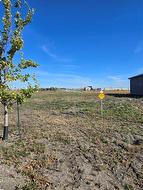 66 Woodland Drive  Steinbach, MB R5G 2Z1