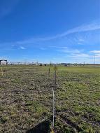 6 Saskatoon Crescent  Steinbach, MB R5G 2Z1