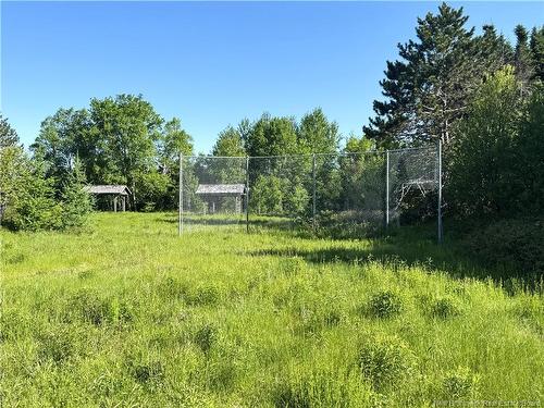 305 Debec Rd, Debec, NB 