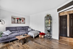 Salon - 