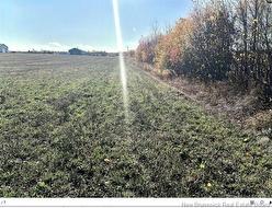 3 acres ch Eustache Hache Saint-Isidore, NB E8M 1G7
