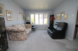 Salon - 