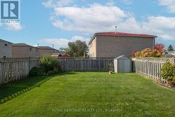 Backyard - Garden Shed - 
