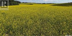 Gauthier Farm  Keys Rm No. 303, SK S0A 4H0