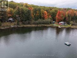 LOT 23 CON 3 SEBASTOPOL  Bonnechere Valley, ON K0J 1T0