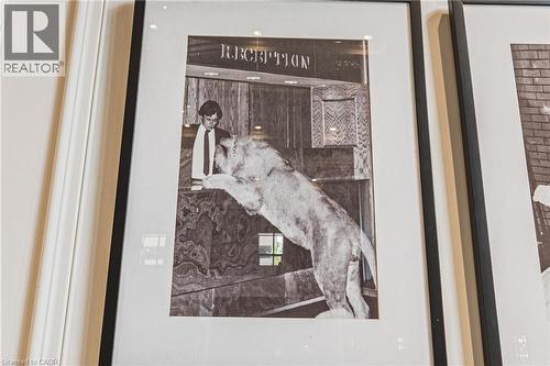 Grey Cup Mascots that used to be real - 112 King Street E Unit# 607, Hamilton, ON 