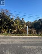1167 ARNOLD STREET Innisfil, ON L0L 1C0