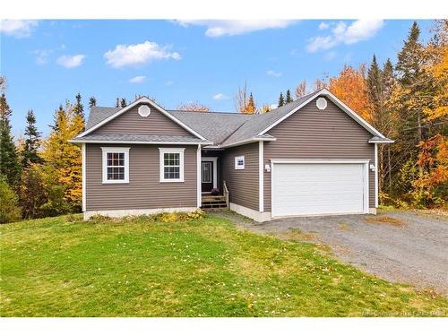 17 Declaration Dr, Killarney Road, NB 