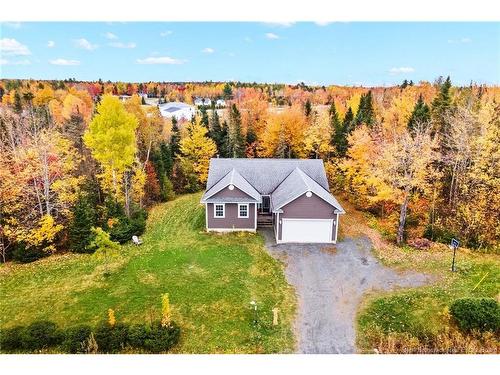 17 Declaration Dr, Killarney Road, NB 
