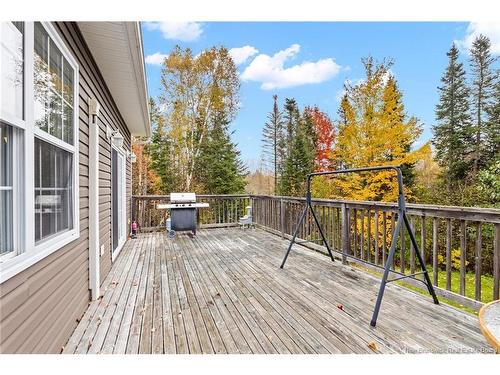 17 Declaration Dr, Killarney Road, NB 