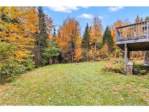 17 Declaration Dr, Killarney Road, NB 