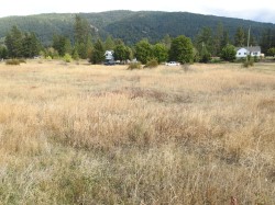 Lot 43 Silver Star Road  Vernon, BC V1B 3P7