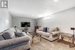 Basement family room - 