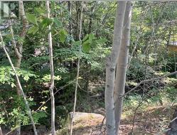 Lot C6C Purcells Cove Road  Halifax, NS B3P 1C4