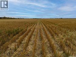 1403 Acres Premium Land Near Abernethy, SK  Abernethy Rm No. 186, SK S0A 0A0