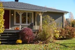 Jardin - 
