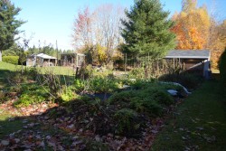 Jardin - 