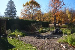 Jardin - 