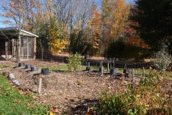 Jardin - 