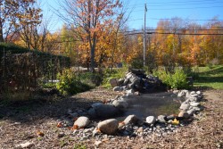 Jardin - 