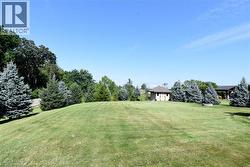 Expansive green lawn with mature evergreen trees and a detached structure - 