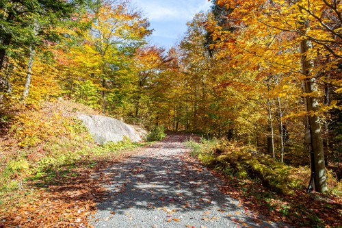 Wooded area - 48 Ch. Williams, Gore, QC 