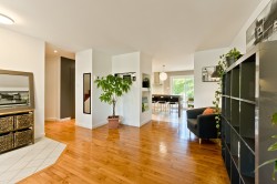 Salon - 