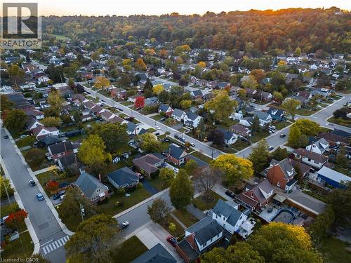 Aerial perspective of a neighborhood featuring mature tree canopy, established residential street grids, and proximity to wooded terrain - 100 Montrose Avenue, Hamilton, ON 