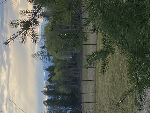 Lot 1 Meadowbrook Branch Road, Kimberley, BC 