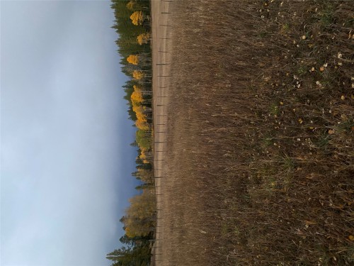 Lot 1 Meadowbrook Branch Road, Kimberley, BC 