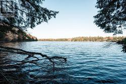 UNIT 11 LOT 5 - 1310 CAMEL LAKE ROAD  Muskoka Lakes, ON P1L 1X4