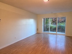 103-9500 Boul. Rivard Brossard, QC J4X 2Z9