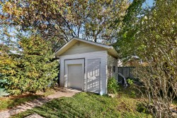 Shed - 