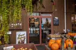 #103-2266 Island Hwy SOUTHCampbell River, BC V9W 1C3