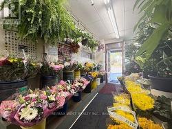 2781 ST. CLAIR AVENUE E Toronto, ON M4B 1N1