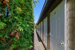 Shed - 