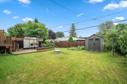 Garden - 