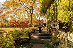 Entry - 