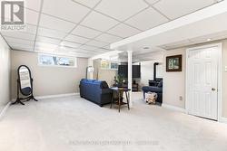 Brand New Carpets (2026). - 