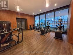 Gym - 