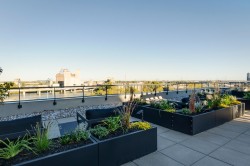 Terrasse - 