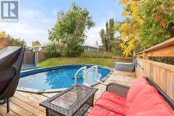 Backyard 17 Mohawk - 