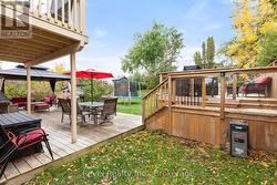 Backyard 17 Mohawk - 