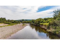 1953 Route 895 Elgin, NB E4Z 6H2