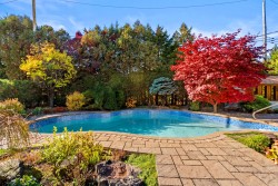 Piscine - 