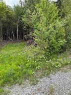 A-32 Deer Glen DR Saint John, NB E2H 2Z6